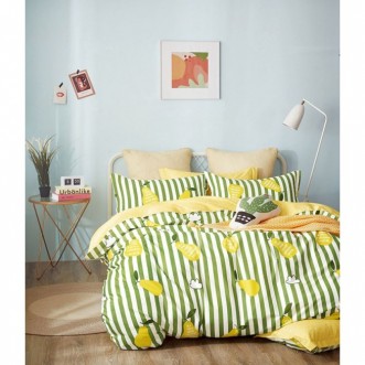 Купить постельное белье сатин TS04-X147 евро Tango