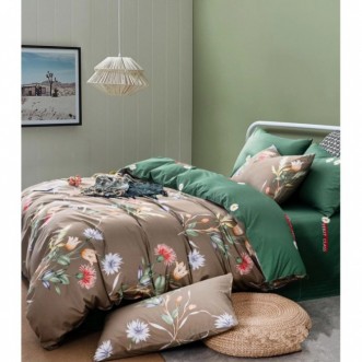 Купить постельное белье сатин TS04-X157 евро Tango