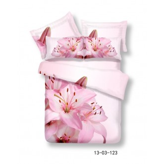 Постельное белье евро сатин люкс Фамилье RS-91