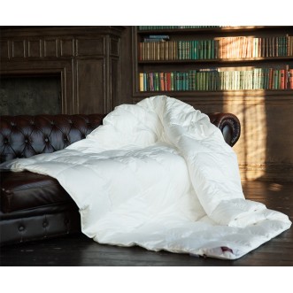 Одеяло евро 200х220 облегченное Luxe Down German Grass