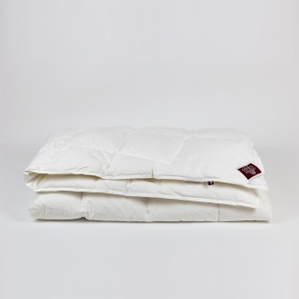 Одеяло евро 200х200 облегченное Air Down German Grass