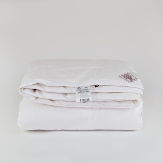 Одеяло шелковое евро 200х220 всесезонное German Grass Paisley Silk Grass