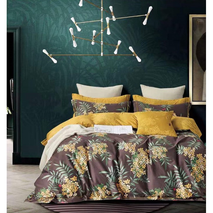 Купить постельное белье египетский хлопок TIS07-842 евро Tango