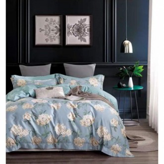 Купить постельное белье египетский хлопок TIS07-843 евро Tango