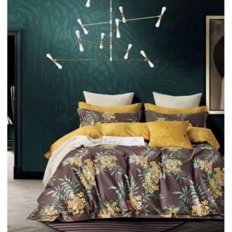 Купить 1.5 спальное постельное белье египетский хлопок Tango TIS04-842