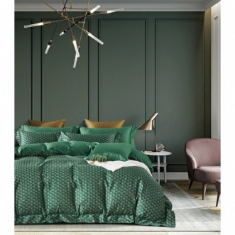 Купить 1.5 спальное постельное белье египетский хлопок Tango TIS04-836