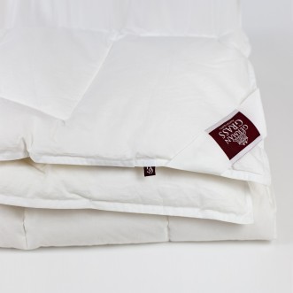 Одеяло 1/5 спальное 160х220 облегченное Air Down German Grass описание