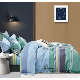 Постельное белье 1/5 спальное фланель Tango 1-MOMAE127