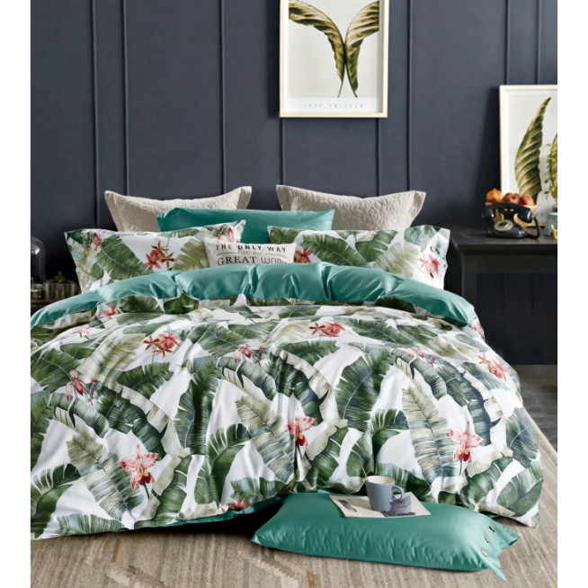 Купить постельное белье египетский хлопок TIS07-846 евро Tango