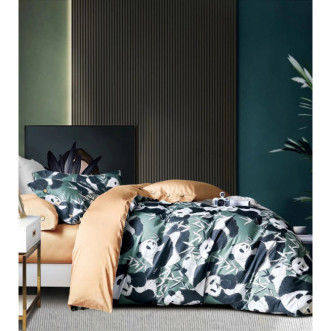 Купить 1.5 спальное постельное белье египетский хлопок Tango TIS04-844