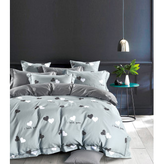 Постельное белье семейное египетский хлопок Tango TIS05-854