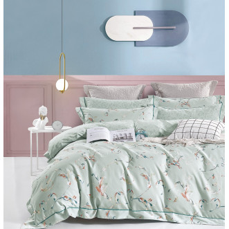 Постельное белье 2 спальное сатин люкс Valtery RS-321