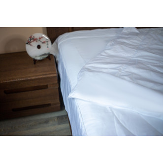 Одеяло евро 200х220 легкое Nature’s Шелковый путь - купить по низким ценам