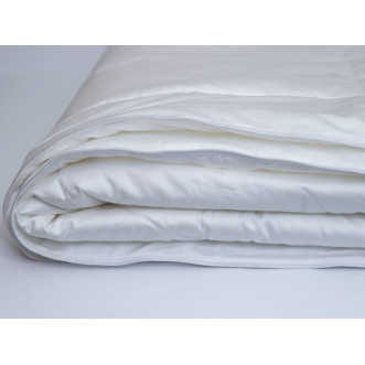 Одеяло евро 200х220 легкое Nature’s Шелковый путь