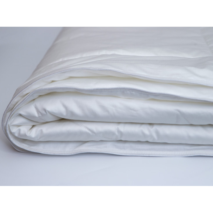 Одеяло евро макси 220х240 легкое Nature’s Шелковый путь