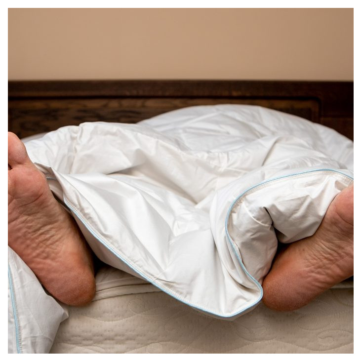 Одеяло 1,5 спальное 140х205 всесезонное Северное сияние Nature’s