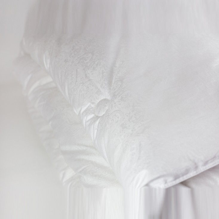 Одеяло шелковое евро макси 220х240 всесезонное German Grass Paisley Silk Grass описание