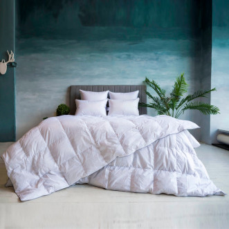 Одеяло евро макси 240х260 всесезонное Gray Familie Down