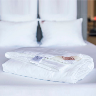 Одеяло шелковое евро 200х200 всесезонное German Grass Luxury Silk Grass фото