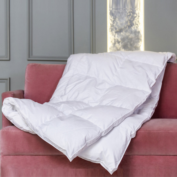 Одеяло евро макси 220х240 всесезонное White Familie Down German Grass