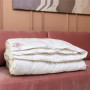 Одеяло евро 200х200 облегченное German Grass Royal Down