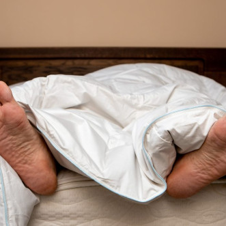 Одеяло евро 200х220 всесезонное Северное сияние Nature’s в магазине Люкс Постель