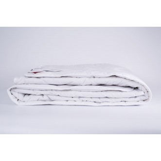 Одеяло легкое евро макси 240х260 German Grass Лён (Linenwash) в интернет магазине Люкс Постель