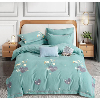 Постельное белье евро Фланель Tango MOMAE140