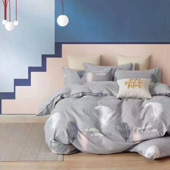 Постельное белье евро Фланель Tango MOMAE138