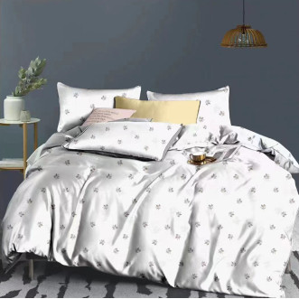 Постельное белье евро Фланель Tango MOMAE148