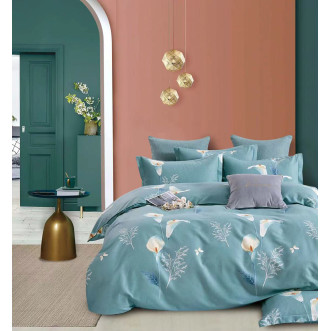 Постельное белье евро Фланель Tango MOMAE145