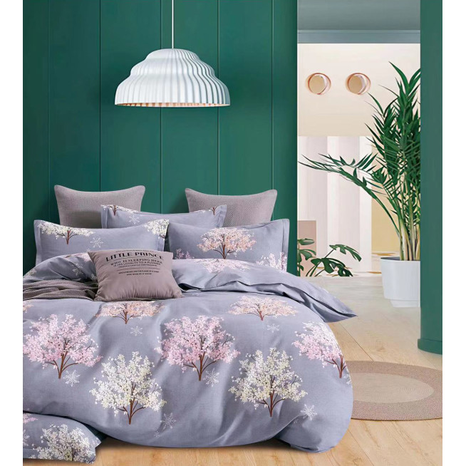 Постельное белье евро Фланель Tango MOMAE141