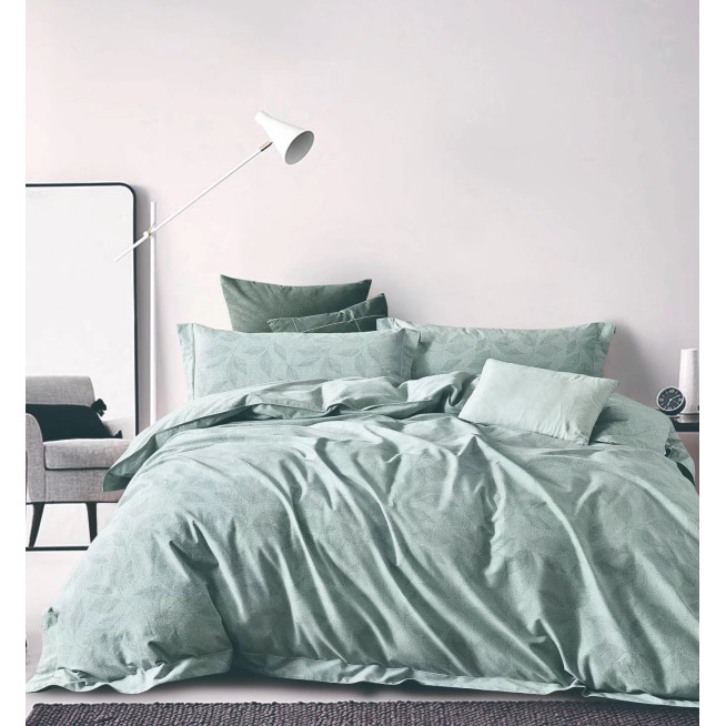 Постельное белье евро Фланель Tango MOMAE154