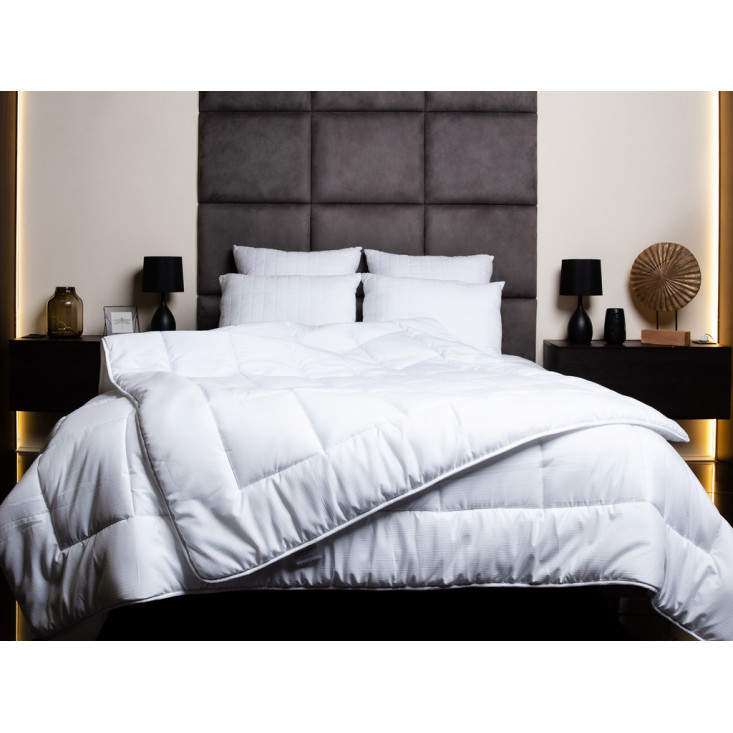 Одеяло евро 200х220 всесезонное German Grass Familie Active Life фото