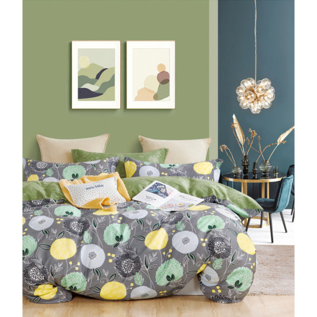 Постельное белье евро твил Tango TPIG6-1712