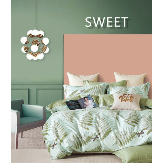 Постельное белье евро твил Tango TPIG6-1708