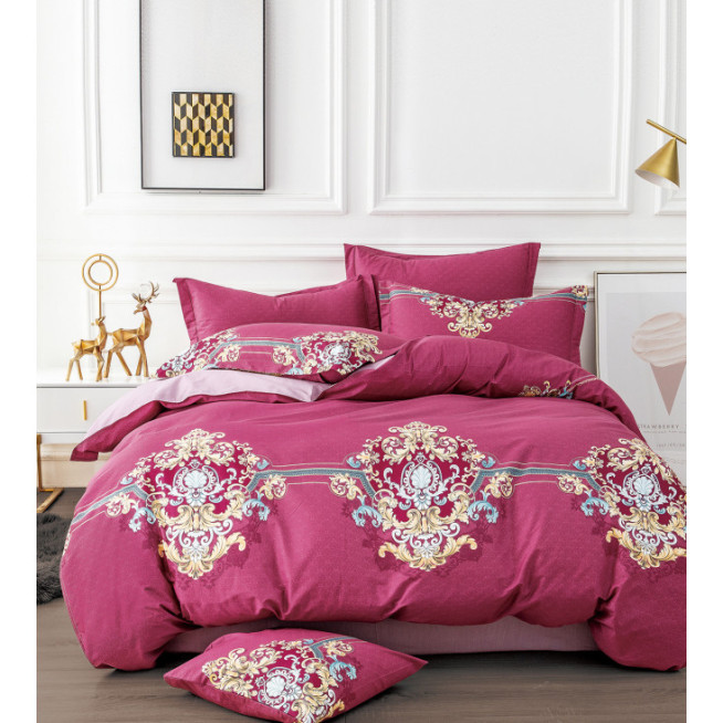 Постельное белье евро твил Tango TPIG6-1666