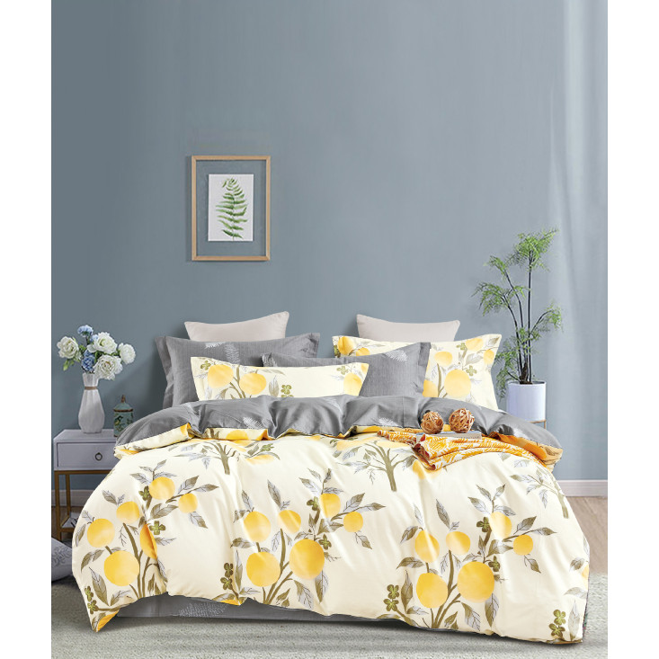 Постельное белье евро твил Tango TPIG6-1701