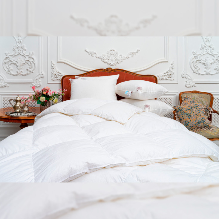 Одеяло евро макси 240х260 всесезонное Sky Down German Grass