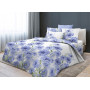 Постельное белье Поплин евро AP-46 Valtery