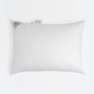 Подушка шелковая 50х70 German Grass Paisley Silk мягкая европейская подушка скидки в магазине Lux-Postel.com