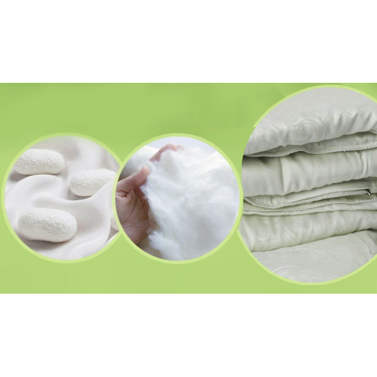 Одеяло 1,5 спальное 145х210 всесезонное Cleo Silk Dreams