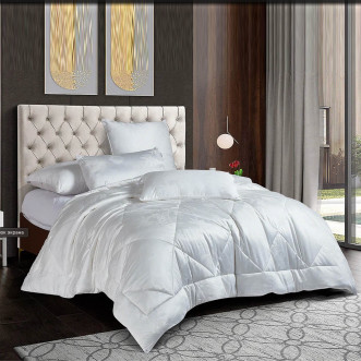 Одеяло 1,5 спальное 145х210 всесезонное Cleo Silk Dreams