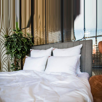 Подушка шелковая 50x70 German Grass Шелк Люкс (Luxury Silk) средняя в магазине Люкс Постель