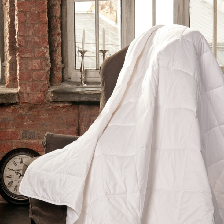 Одеяло легкое евро макси 240х260 Cottonwash German Grass описание